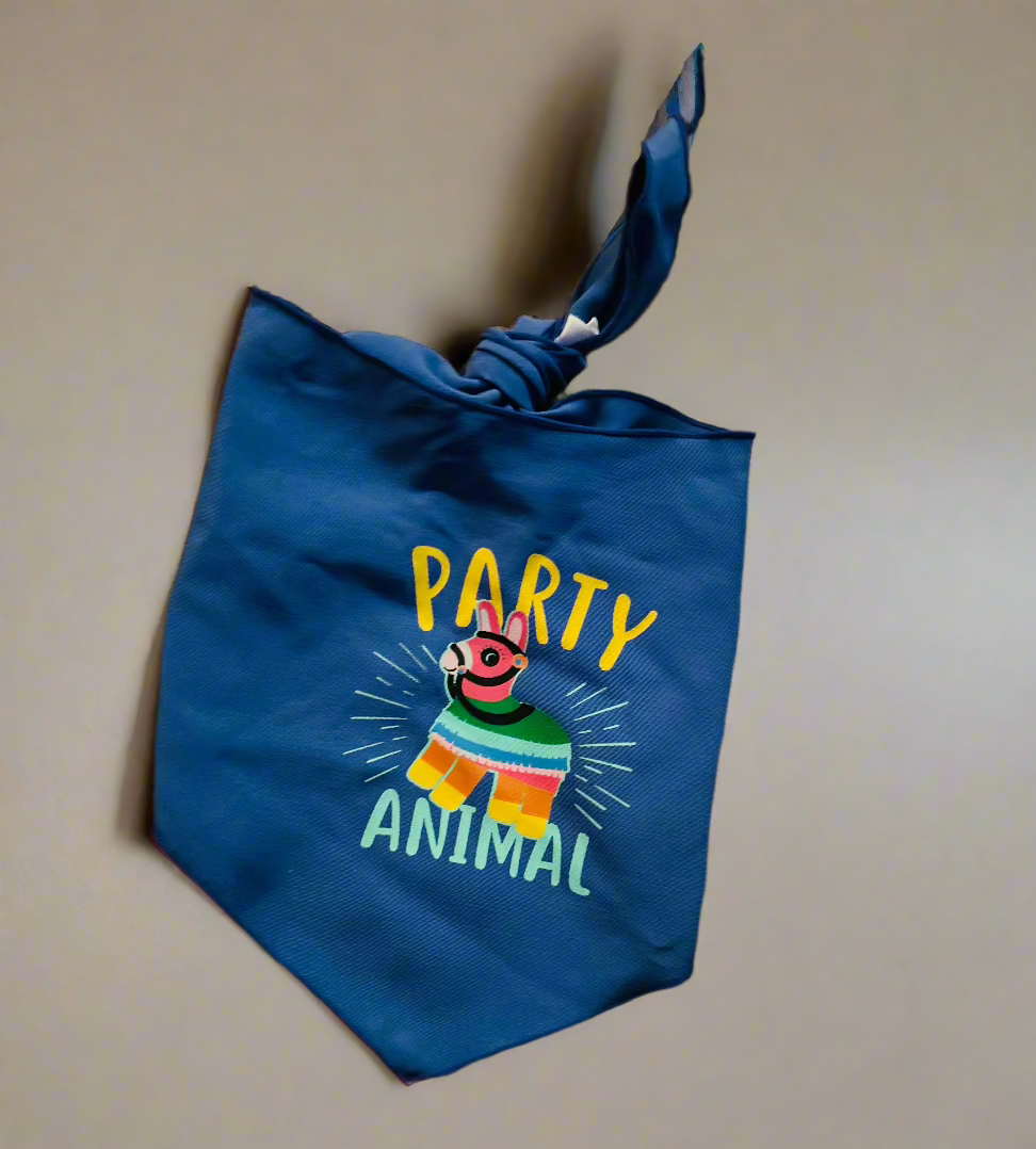 Party Animal Pet Scarf